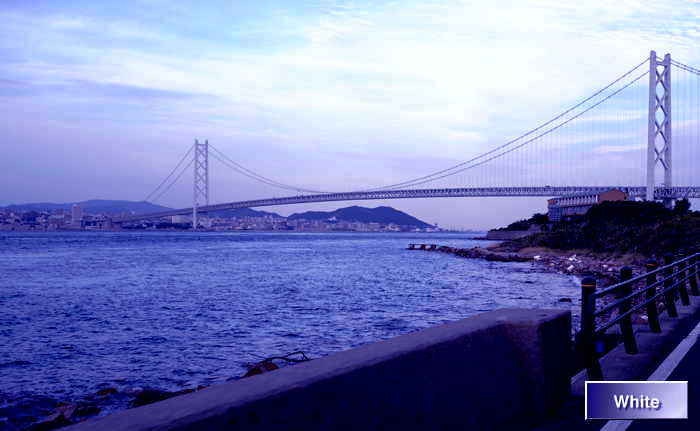 c0227134_741828.jpg
