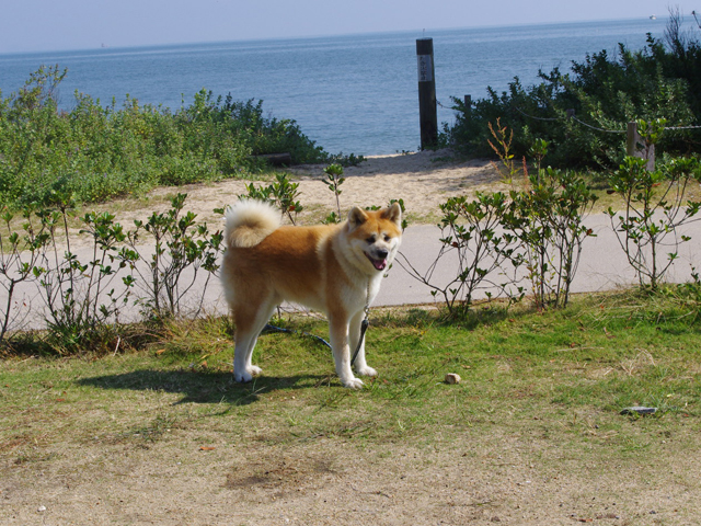 f0008935_156389.jpg