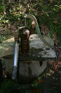 f0124737_2224920.jpg