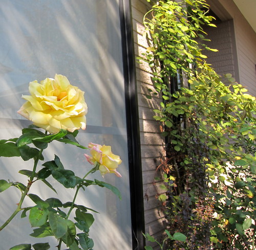b0178339_183354.jpg