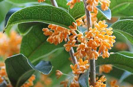 a0243143_20401544.jpg