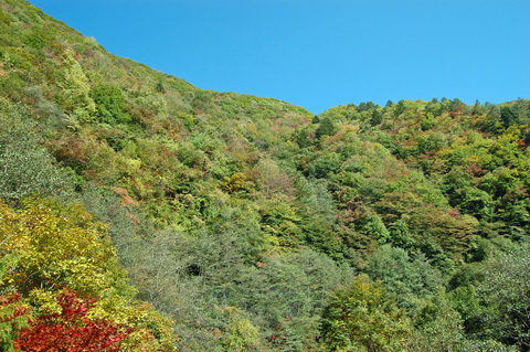 d0164443_2161380.jpg