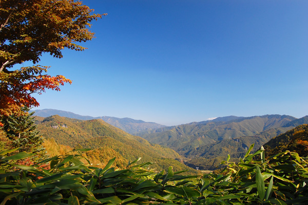 d0164443_2182477.jpg