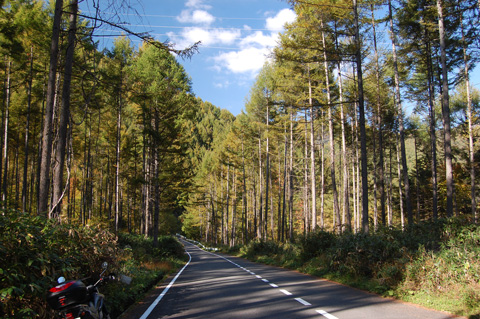 d0164443_219641.jpg