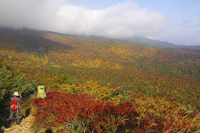 b0122448_20441225.jpg