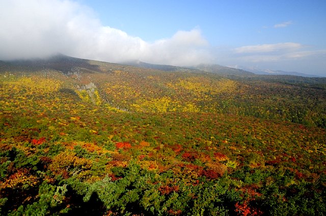 b0122448_20522157.jpg