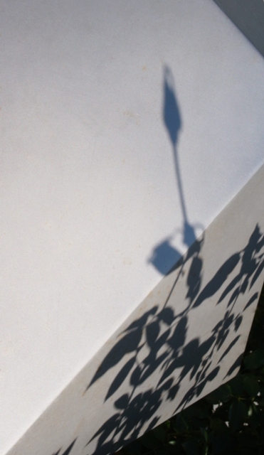 c0181248_2149479.jpg