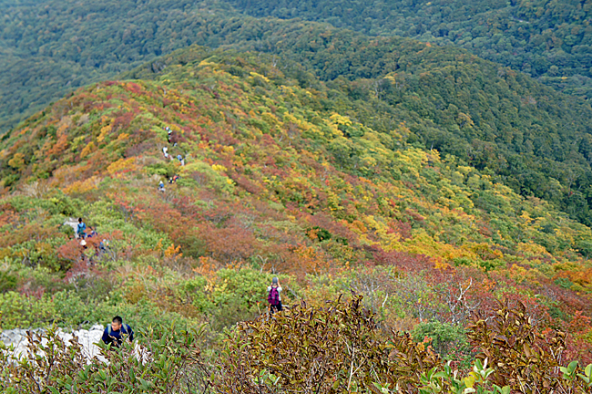 f0214649_16191091.jpg