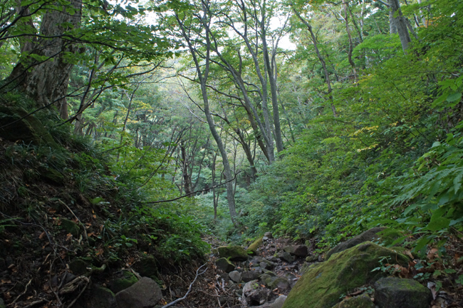 f0214649_16453311.jpg