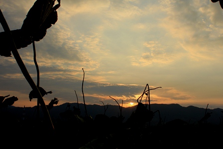 d0163550_6461975.jpg