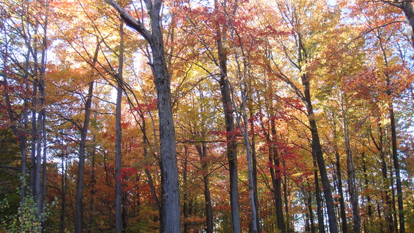 a0233951_17175729.jpg