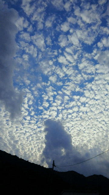 c0241952_16432562.jpg