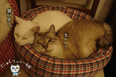 e0031853_0465011.jpg