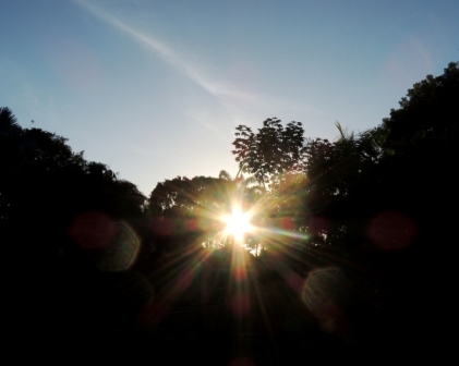b0173754_21423364.jpg