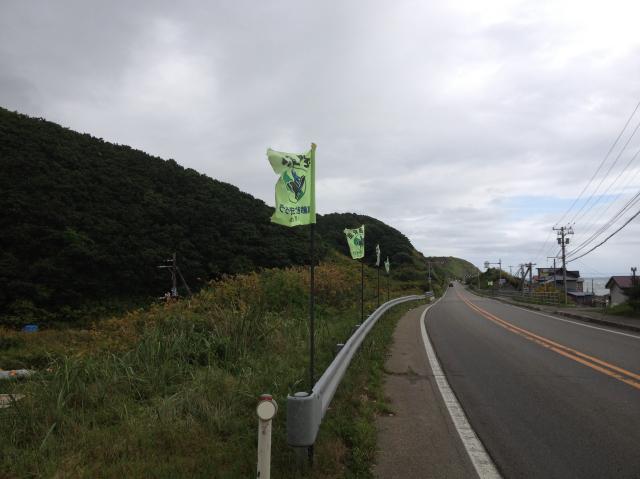 c0105957_015762.jpg