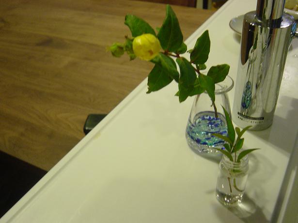 b0242064_5143650.jpg