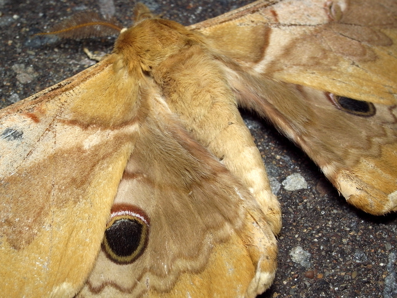 b0130166_20424942.jpg