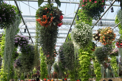 f0048168_12445681.jpg
