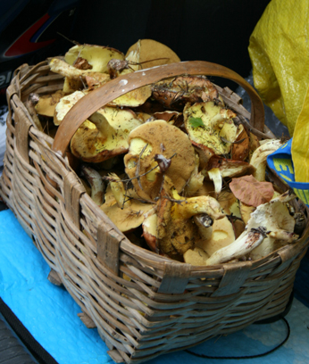 b0120269_17254074.jpg