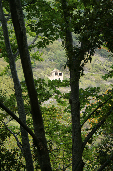 b0120269_17265719.jpg