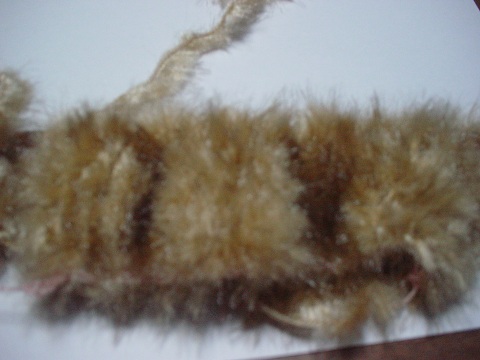 b0194872_2355836.jpg
