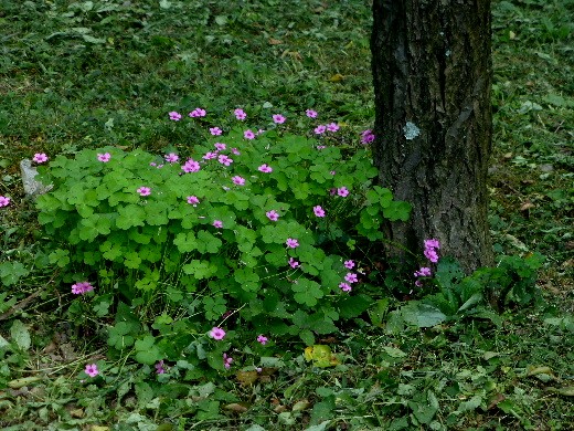 d0084473_21452530.jpg