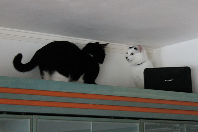 c0226874_20123320.jpg