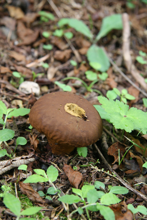 e0118274_20582263.jpg