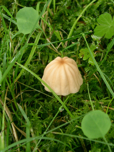 e0118274_20585188.jpg