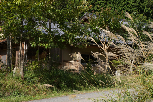 b0139477_1075970.jpg