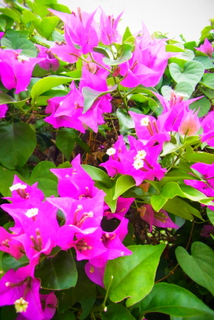 e0070577_23181996.jpg