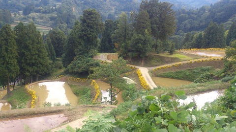 d0182179_1794140.jpg