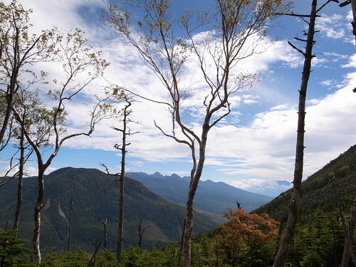 a0094280_16262063.jpg