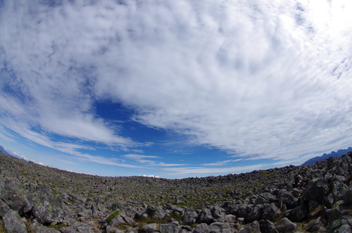 a0094280_16263673.jpg