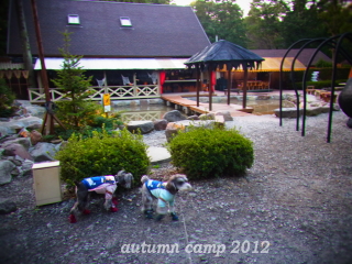 f0155381_0175763.jpg