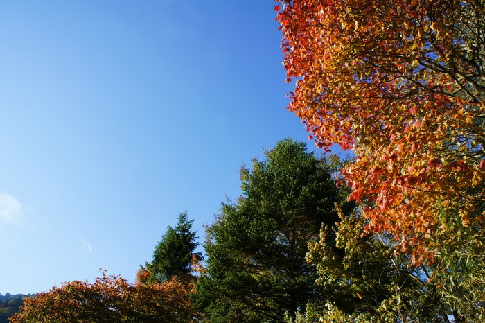 c0136486_12105388.jpg