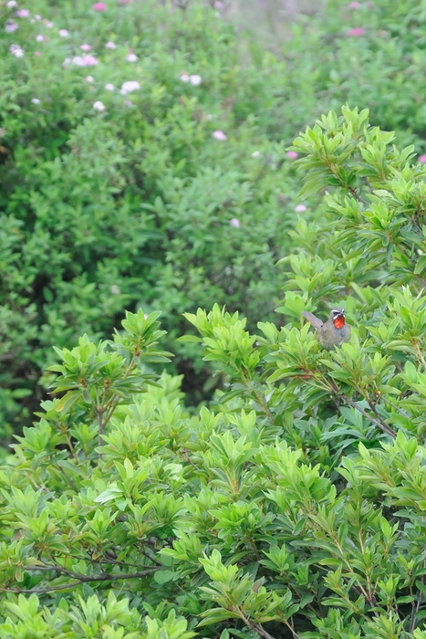 e0261593_2152871.jpg