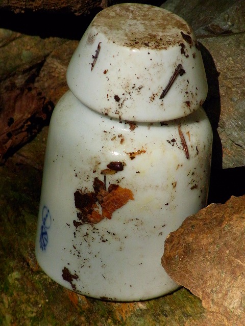 f0157901_16583131.jpg