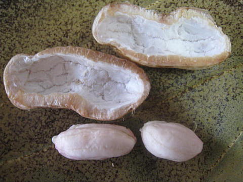 d0046702_459996.jpg