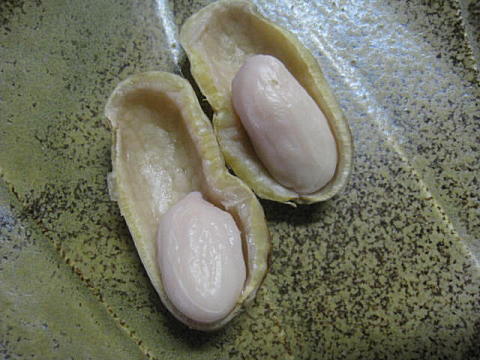 d0046702_503521.jpg