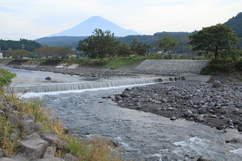 a0188405_1141462.jpg