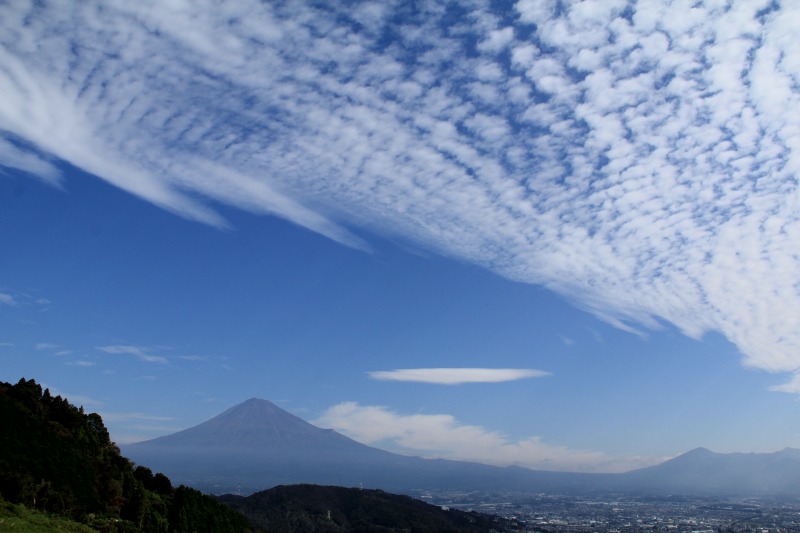 a0188405_19561852.jpg
