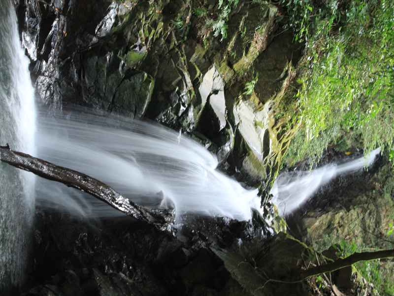 a0188405_2028931.jpg