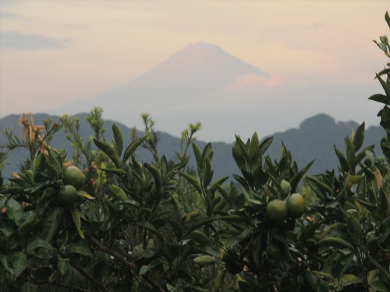 a0188405_20311438.jpg
