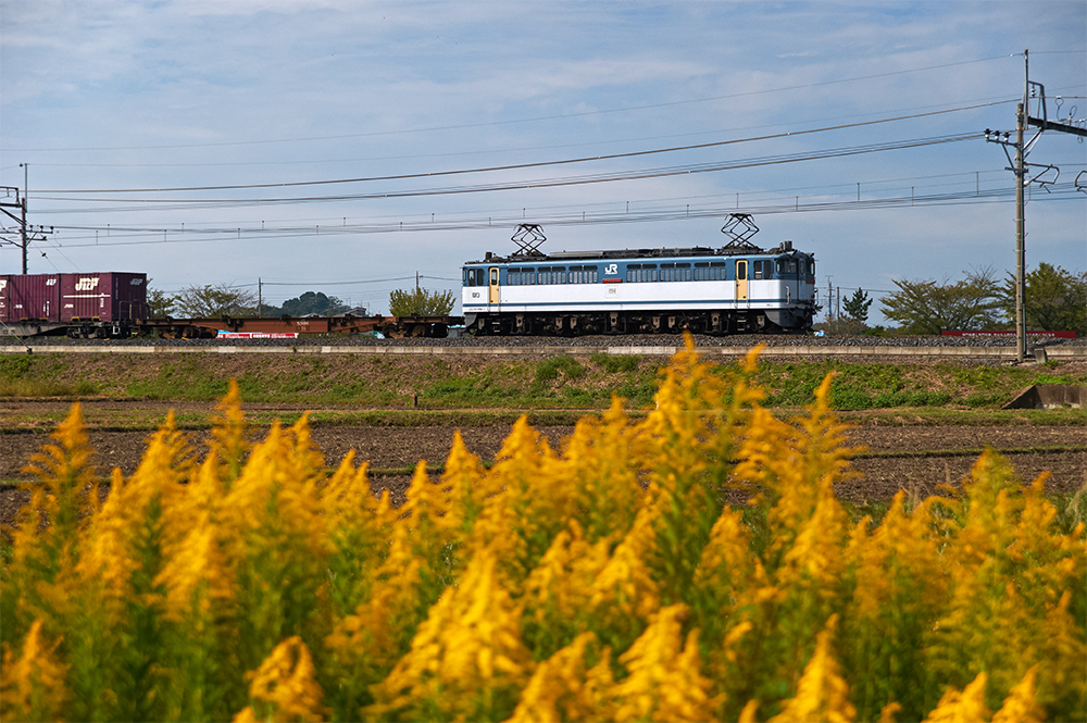 b0221605_14201425.jpg