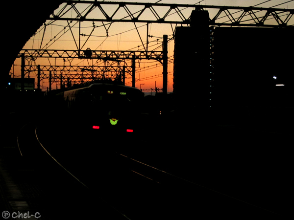 a0154706_12294523.jpg