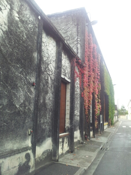 c0167813_5312137.jpg