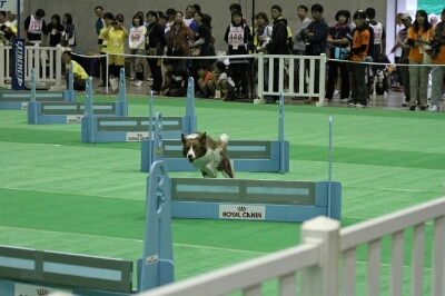 c0181414_1643652.jpg