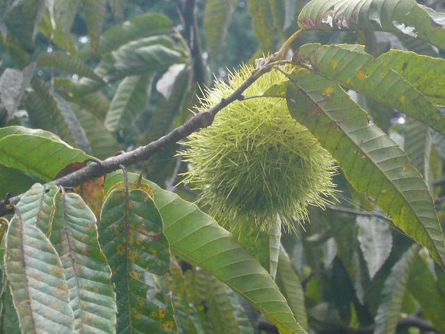 e0026017_14134390.jpg