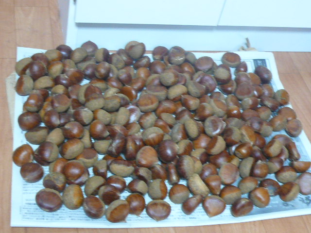 e0026017_1414111.jpg